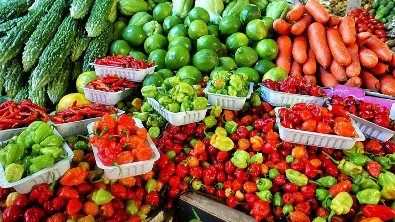 primeur-CARQUEIRANNE-min_farmers-market-1329008